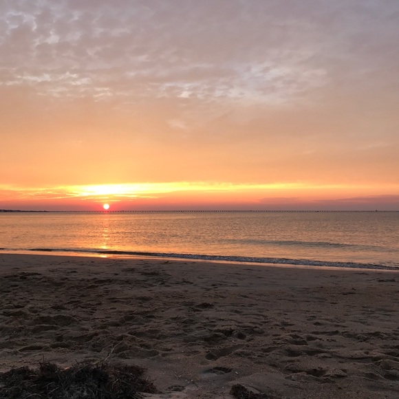 Posh Ambassador 😍 - Picture 4 of 6